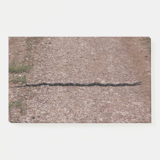 Post-it® Serpent de Rat (Devant)