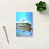 Post-it® shark-5.jpg (Bureau)