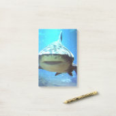 Post-it® shark-5.jpg (Sur un bureau)