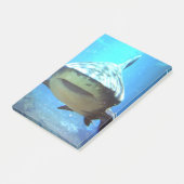Post-it® shark-5.jpg (Incliné)