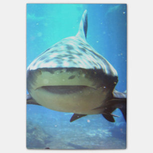 Post-it® shark-5.jpg