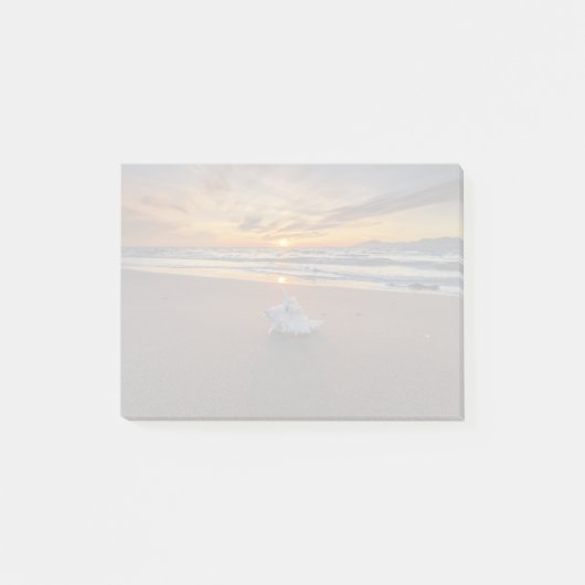 Post-it® Shell à la plage à l'île du coucher du soleil | (Devant)