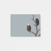 Post-it® Silence Wonders Publie Ses Notes Sur Les Aigles (Devant)