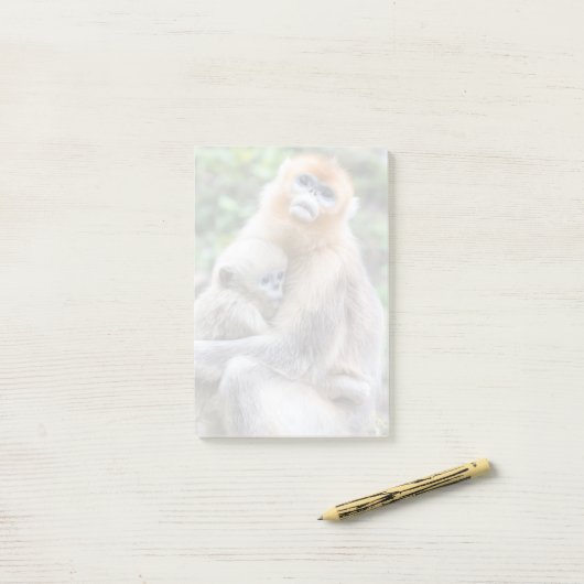 Post-it® Singe à nez doré avec bébé (Sur un bureau)