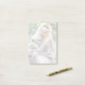 Post-it® Singe nez retroussé doré avec bébé (Sur un bureau)