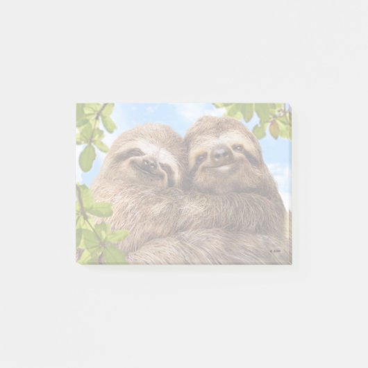 Post-it® Sloth Couple (Devant)