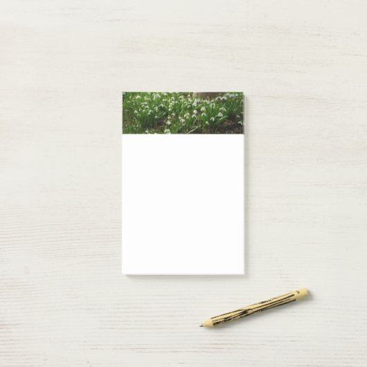 Post-it® Snowdrops (Sur un bureau)