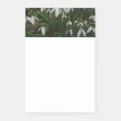 Post-it® Snowdrops I (Devant)