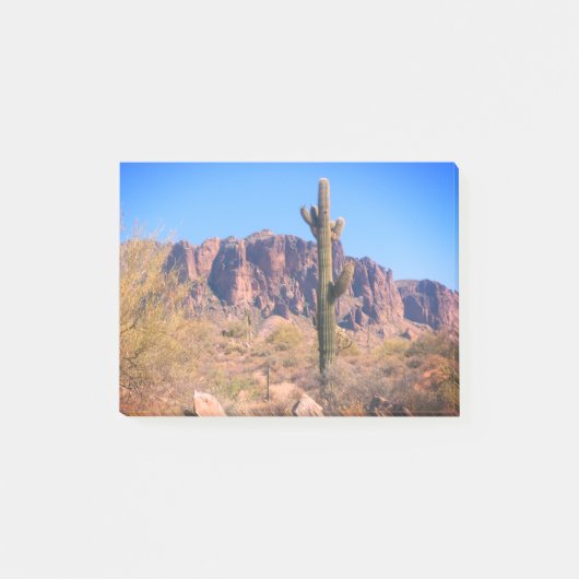 Post-it solitaire de cactus (Devant)