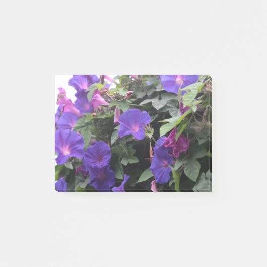 Post-it® Spring Morning Glories en bleu (Devant)
