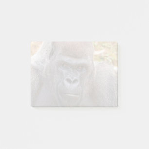 Post-it® Stade au Zoo Atlanta (2023)