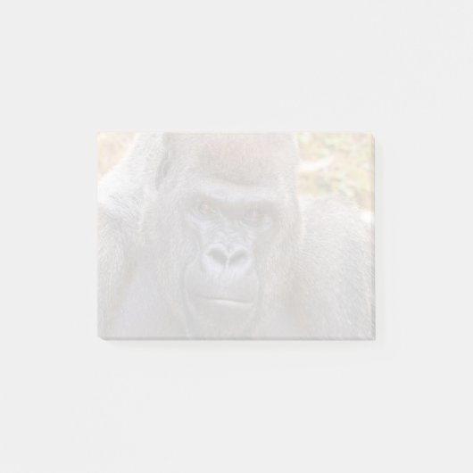 Post-it® Stade au Zoo Atlanta (2023) (Devant)