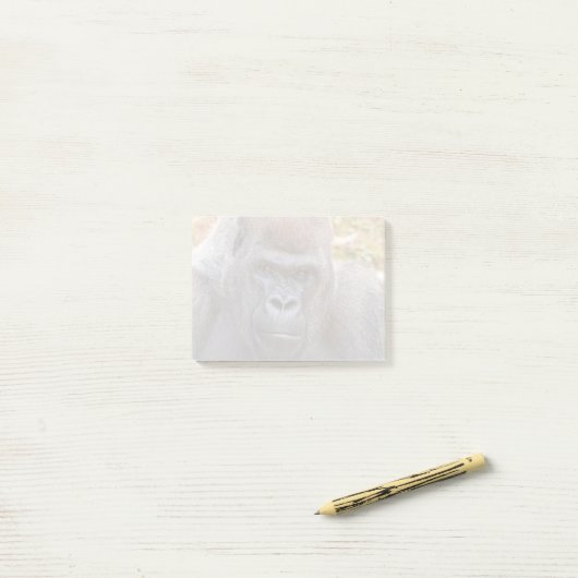 Post-it® Stade au Zoo Atlanta (2023) (Sur un bureau)