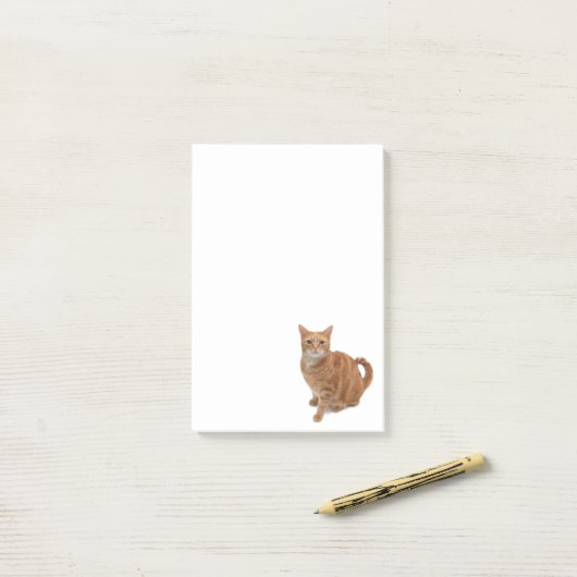 Post-it® Stade de Cat orange (Sur un bureau)