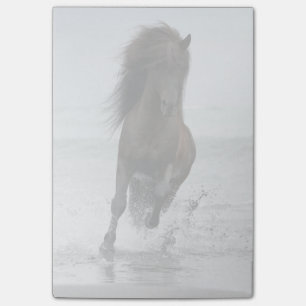 Post-it® Stallion Courant Sur La Plage Atlantique Nord