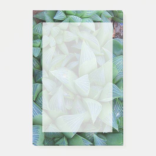 Post-it® Stickies Plantes Succulents de Green Haworth (Devant)
