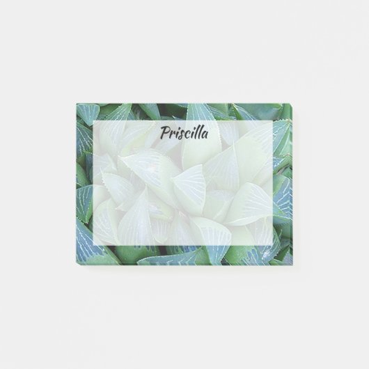 Post-it® Stickies sur mesure Plante Succulent de Green Hawo (Devant)