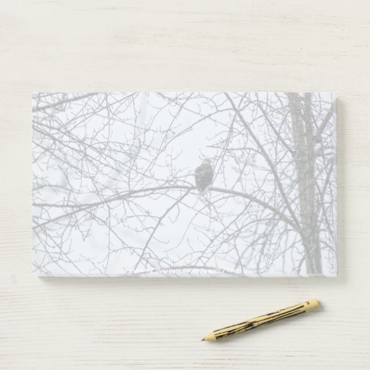 Post-it® Surveillance (Sur un bureau)