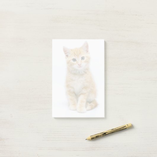 Post-it® Sweet Orange Tabby (Sur un bureau)