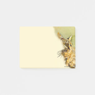 Post-it® Tabby Cat avec le nez rose du coeur