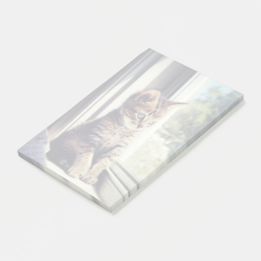 Post-it® Tabby Kitten (Incliné)