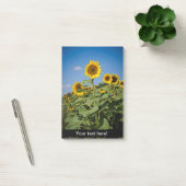 Post-it® Terrain de tournesol (Bureau)