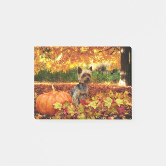 Post-it® Thanksgiving de chute - Tucker - Yorkie (Devant)