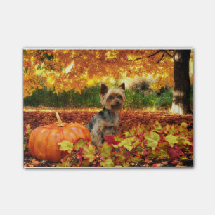 Post-it® Thanksgiving de chute - Tucker - Yorkie