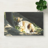 Post-it® Tiger Catnap (Bureau)