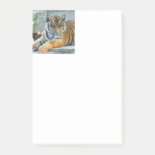 Post-it® Tigre 034 (Devant)