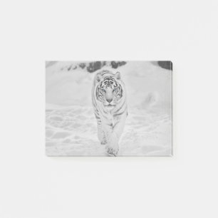 Post-it® Tigre blanc de 🐅