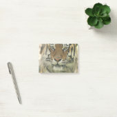 Post-it® Tigre de Sumatran (Bureau)