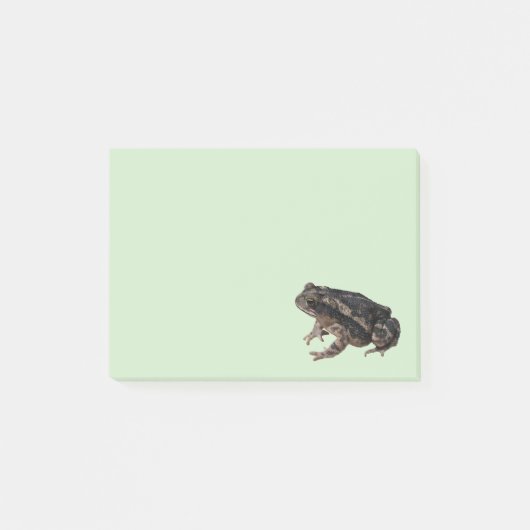 Post-it® Toad (Devant)