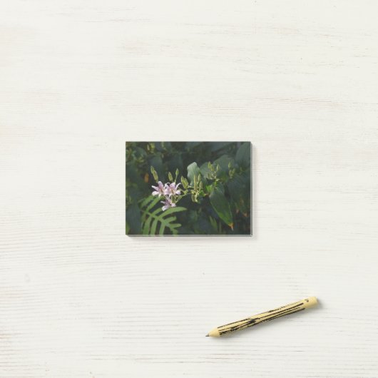 Post-it® Toad Lily Dans La Lumière. (Sur un bureau)