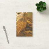 Post-it® Tortue (Bureau)