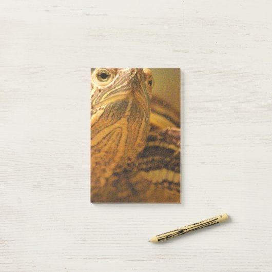 Post-it® Tortue (Sur un bureau)