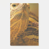 Post-it® Tortue (Devant)