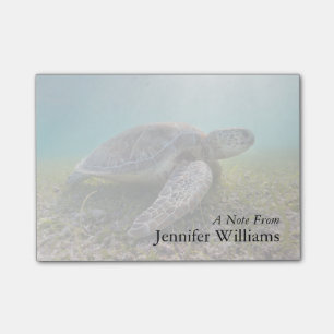 Post-it® Tortue de mer verte à la baie du crépuscule  