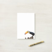 Post-it® Toucan (Sur un bureau)