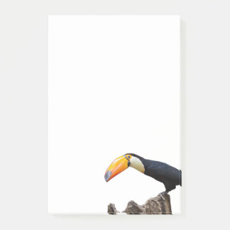 Post-it® Toucan