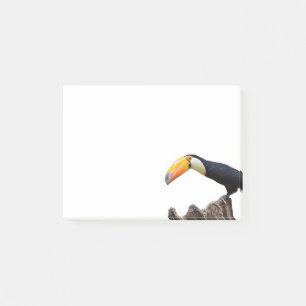 Post-it® Toucan