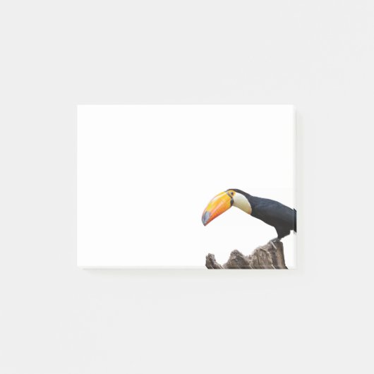 Post-it® Toucan (Devant)