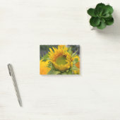 Post-it® Tournesol de bourgeonnement (Bureau)