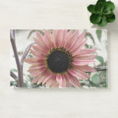 Post-it® Tournesol rose pâle (Bureau)