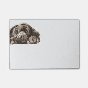 Post-it® Triste Black Labrador Retriever Chien Animal anima