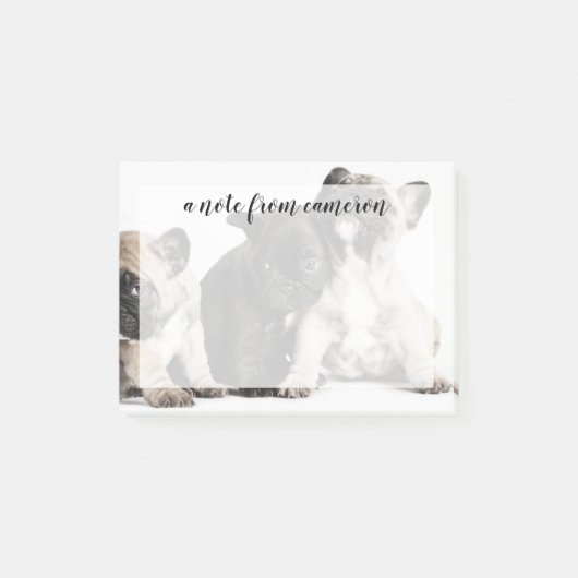 Post-it® Trois Carlins (Devant)