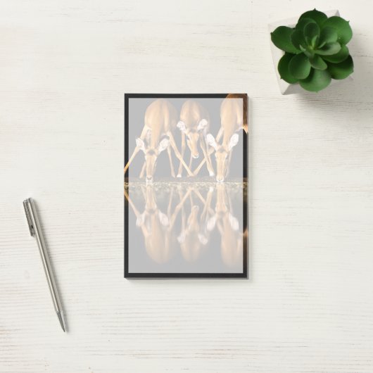 Post-it® Trois impalas boivent ensemble la nuit (Bureau)