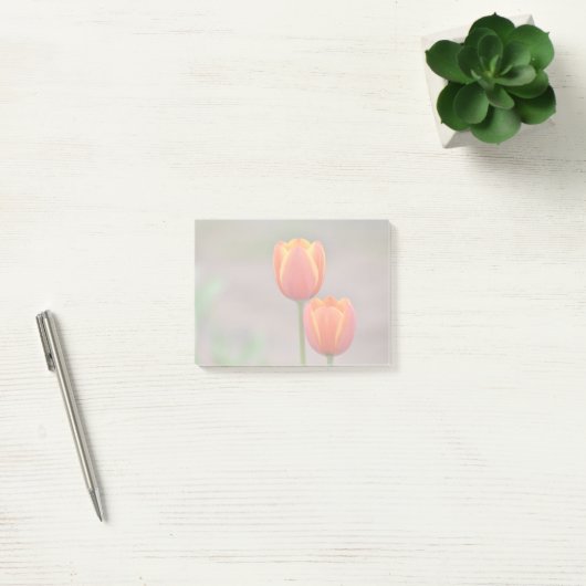 Post-it® Tulip Sticky Notes (Bureau)