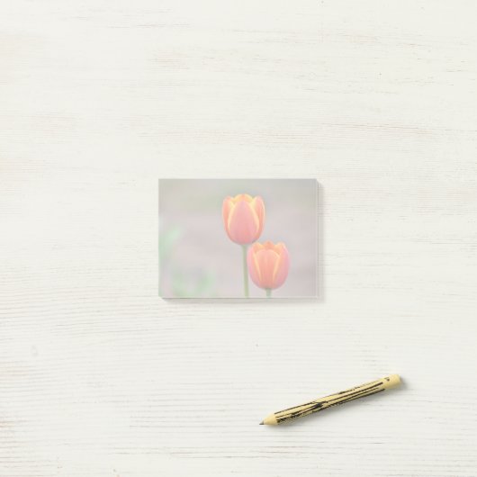 Post-it® Tulip Sticky Notes (Sur un bureau)