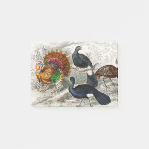 Post-it® Turquie sauvage américaine, Curassow à pois